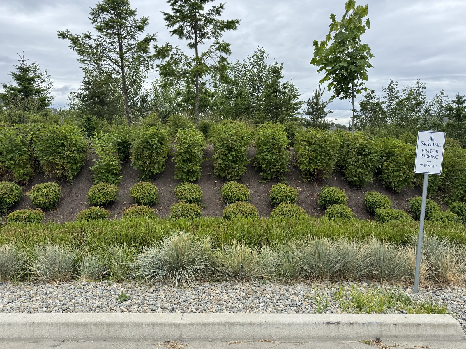 Skyline Living commercial landscaping