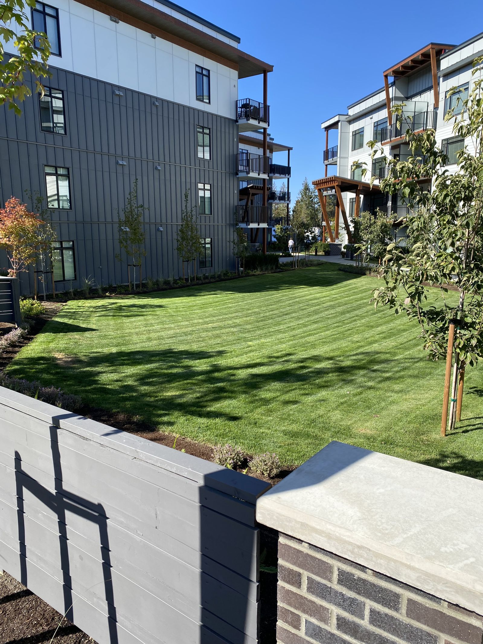 Perfectly mowed strata lawn with stripes