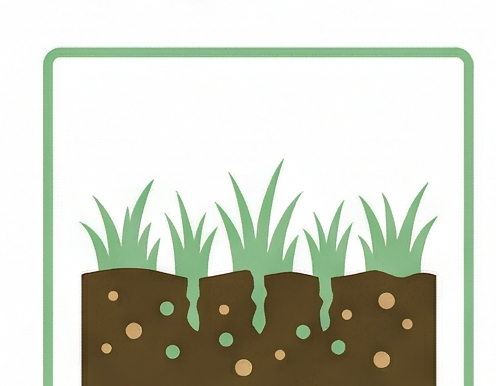 Aeration & Fertilizer