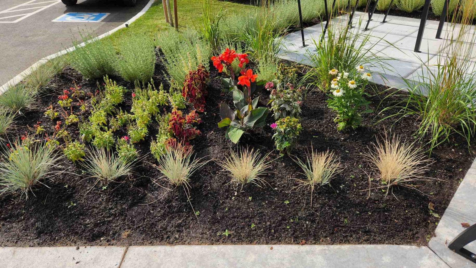 Flower bed and garden planting